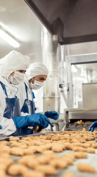 Equipo multidisciplinario