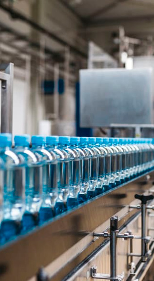 Adaptabilidad y flexibilidad